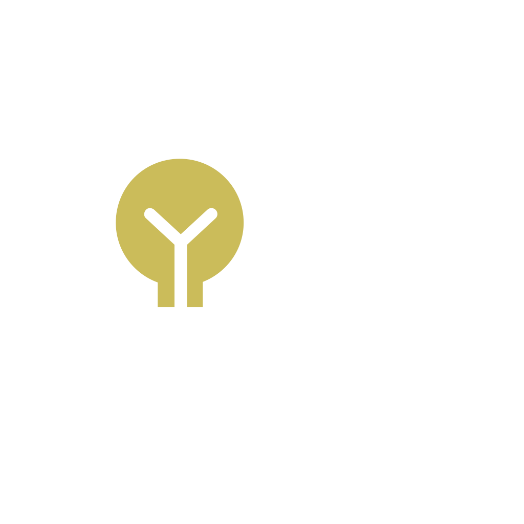 Custom Web Design Services